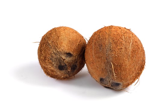 two coconut photo on the white background