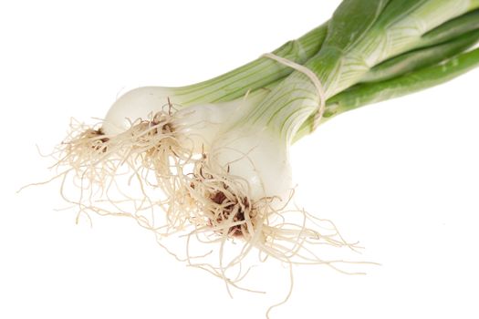 fresh onions, photo on the white background