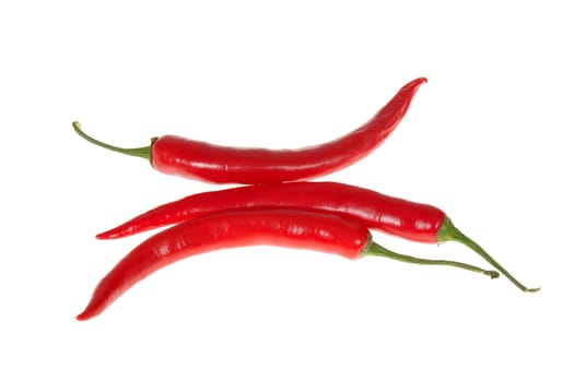 Red pepper photo on the white background