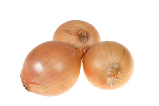 three onions photo on the white background