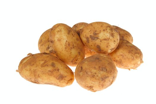 bunch of potatoes photo on the white background