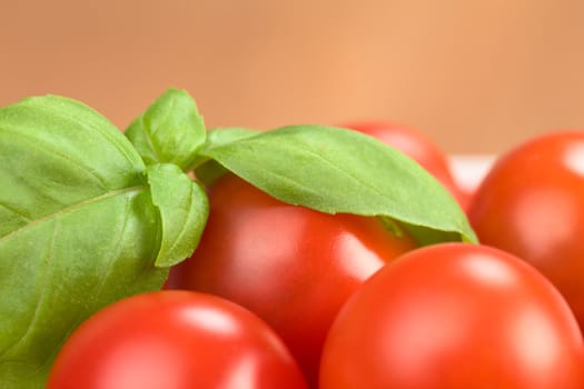 Basil leaf on cherry tomatoes (Very Shallow Depth of Field, Focus on the front of the basil leaf on the right) 