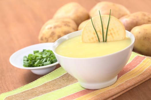 Fresh potato cream soup garnished with a cracker and chives with green onion and raw potatoes in the back on wood (Selective Focus, Focus on the cracker and the chives) 