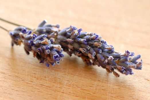 dry lavender flowers closeup over blur brown background