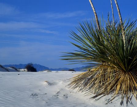 Rippled sand dunes in White Sands National Monument, New Mexico, USA