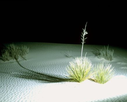 Rippled sand dunes in White Sands National Monument, New Mexico, USA