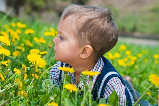 Cute 2 years old boy with dandelion outdoors at sunny summer day