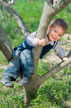 Cute 2 years old boy climbs In big Tree