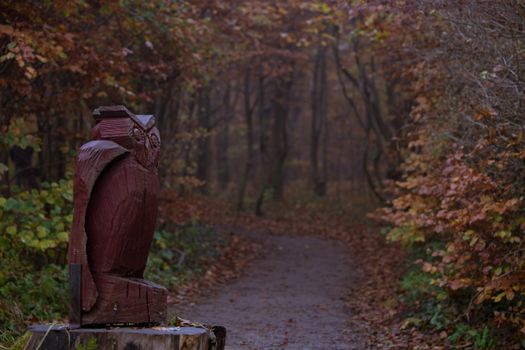 Geisterwald von Nienhagen