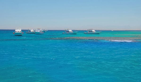 group of white boats on turquoise water of Red Sea, Egypt