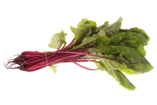 fresh bunch of beetroot photo on the white background