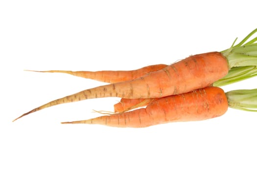 fresh carrot, photo on the white background