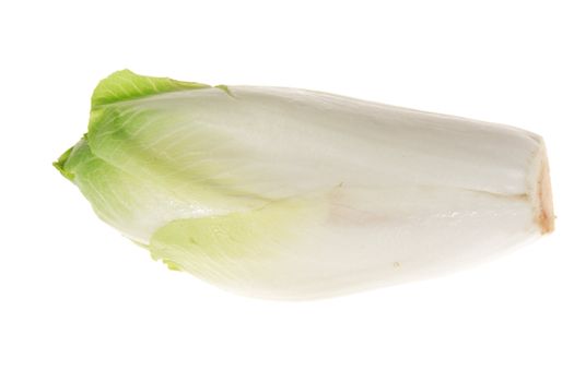 fresh endives isolated on the white background