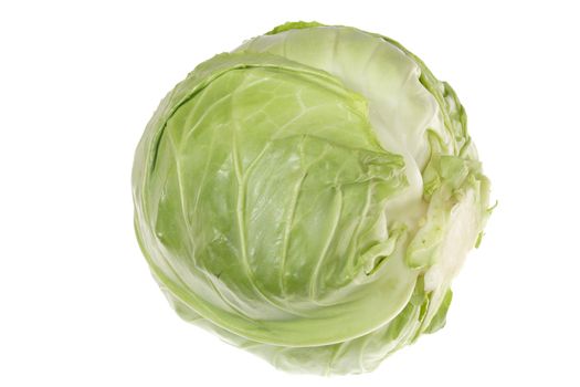 Green cabbage isolated on the white background