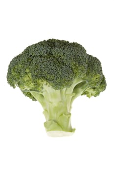 Fresh green broccolli isolated on the white background