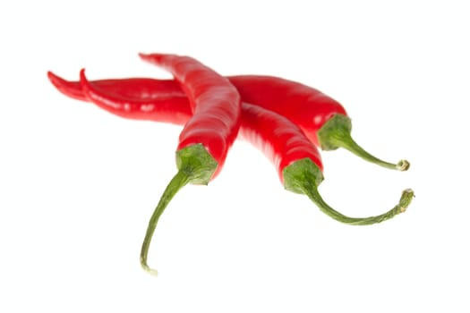 Red pepper photo on the white background