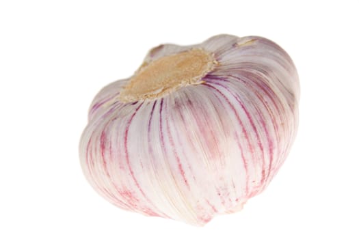 one Garlic photo on the white background