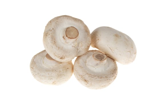 Button mushrooms, photo on the white background