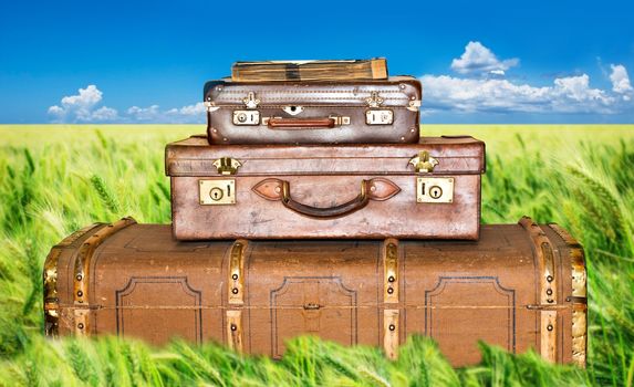 Green wheat field with three old leather suitcases