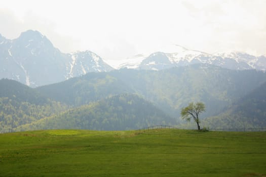 The beautiful mountain in Poland