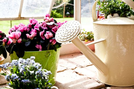 Watering cans, concept of gardening and hobby