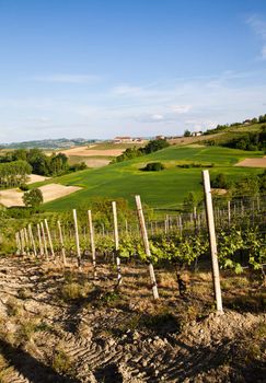 Landscape of Monferrato area in Piedmont region - Italy