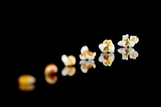 The different stages from the maize kernel to the popcorn photographed on black with reflection (Selective Focus, Focus on the last popcorn)