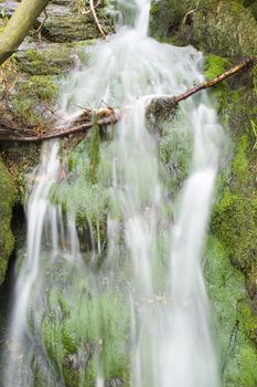 a little stream in the mountain forest