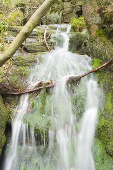 a little stream in the mountain forest