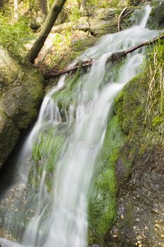 a little stream in the mountain forest