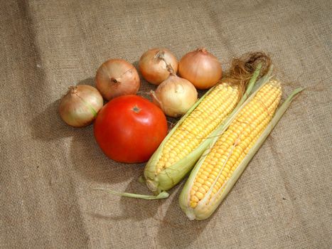 Onions, tomato and corn on a bag
