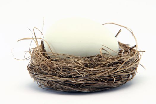 big white egg in a small nest isolated on white background