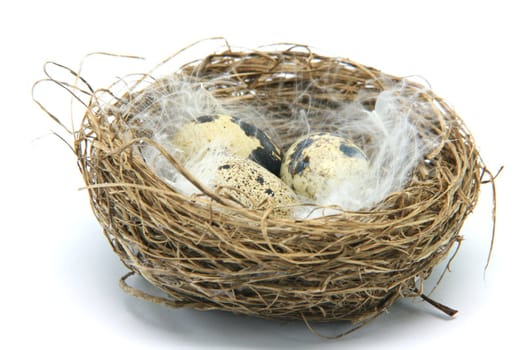 three small  eggs in a nest with feathers isolated on white background