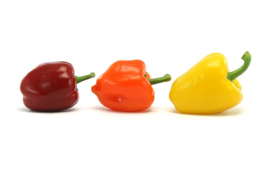 different size and color peppers isolated on white background food and vegetables concepts