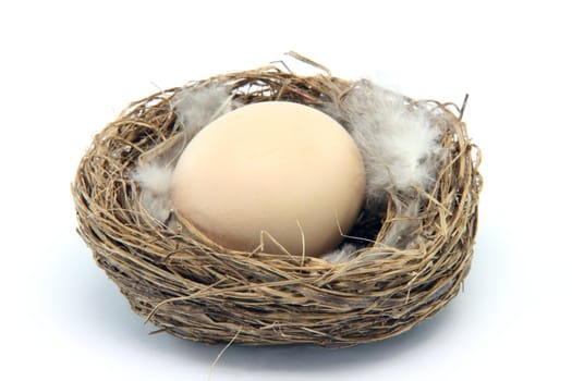 brown egg in a nest with feathers isolated on white background