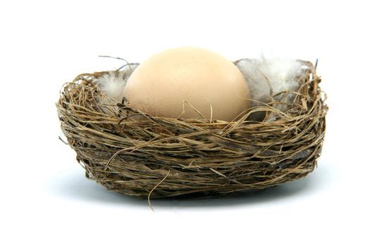 brown egg in a nest isolated on white background