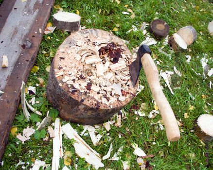 Axe and log.rural view