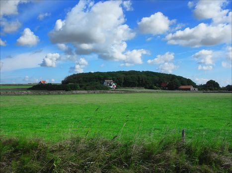 Picture of the hoge berg, Texel. Holland
