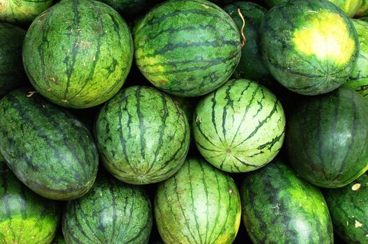 A pile of fresh watermelon fruits in summer