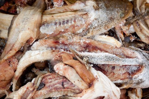 Frozen fish waste: heads, bones, guts, fins, and blood.