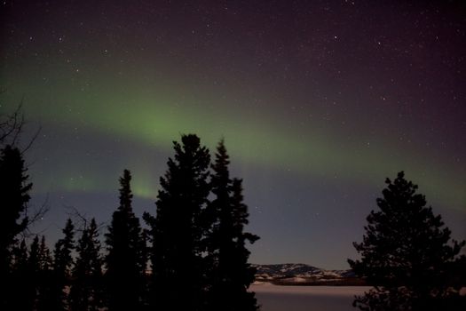 Aurora Borealis display and lots of stars in clear night sky, image taken at the shore of Lake Laberge, Yukon Territory, Canada