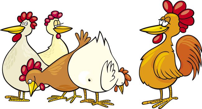 cartoon Illustration of rooster and hens