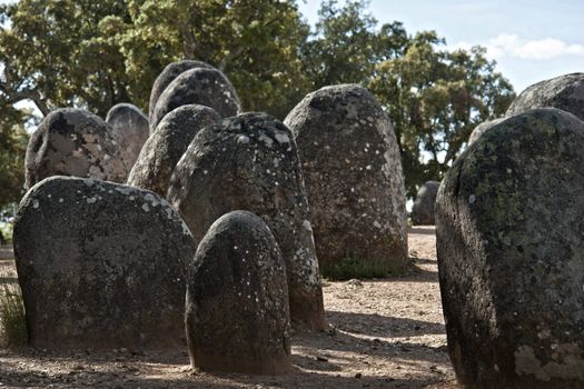 Menhirs in megalithic monument of Cromelech dos Almendres - Evora -Portugal