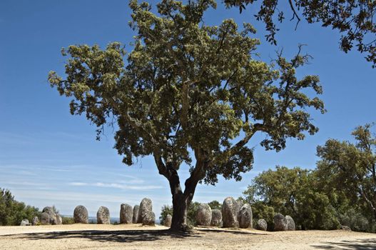 Menhirs in megalithic monument of Cromelech dos Almendres - Evora -Portugal