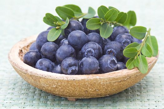 fresh blueberries on a plate