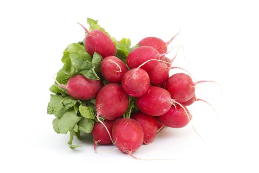 Fresh radishes on a white background 