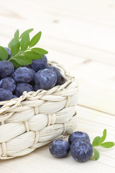 fresh blueberries in a basket