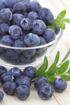 fresh blueberries in a bowl