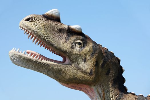 Dinosaur - Ceratozaur (Theropoda, Creatosauria - Ceratosaurus)