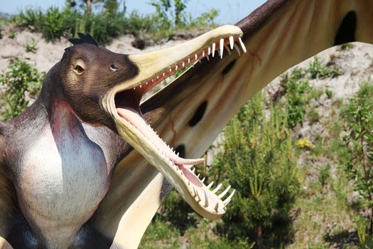 Dinosaur - Cearadaktyl (Ptrodactyloidea, Pterosauria - Cearadactylus )
